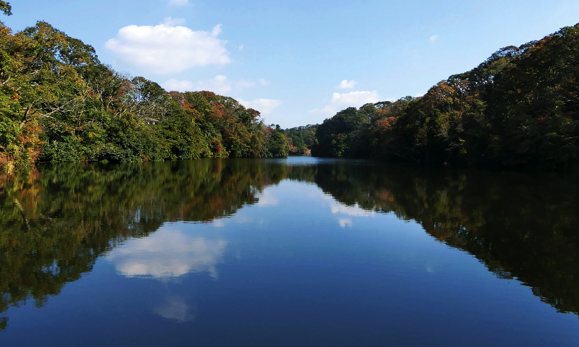 府民の森・むろいけ園池